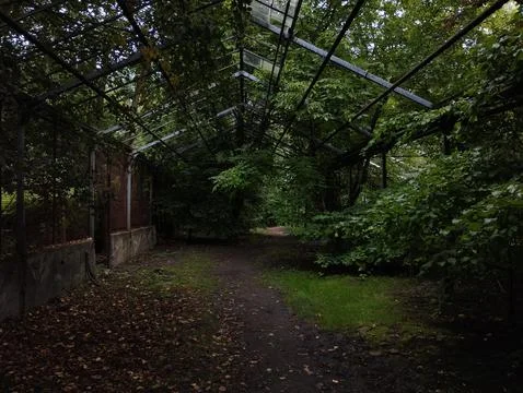Greenhouse Stock Photos