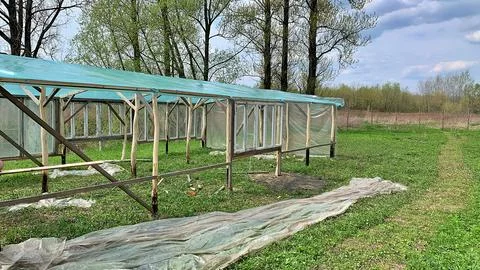 Greenhouse Stock Photos