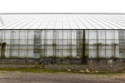 Greenhouse Foto stock