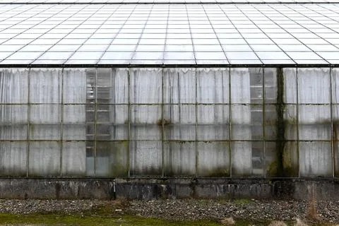 Greenhouse Foto stock