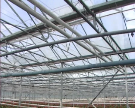Greenhouse with pipe rail heating system in the 1980s - tilt down Stock Footage 46708579