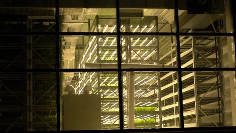 Greenhouse with plants 库存影片 119781855