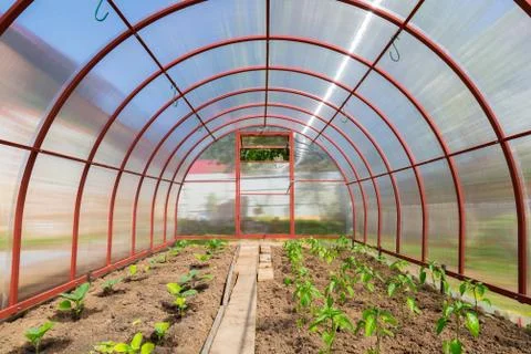 Greenhouse polycarbonate inside view Stock Photos