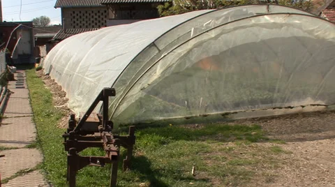 Greenhouse with seedlings in the backyard Vídeo Stock 39660647