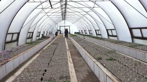 Greenhouse in the spring with people Stock Footage 149396031