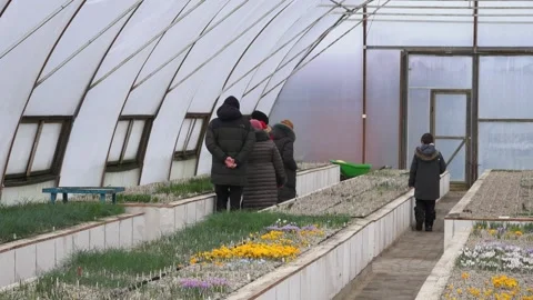 Greenhouse in the spring with people Stock Footage 149397096