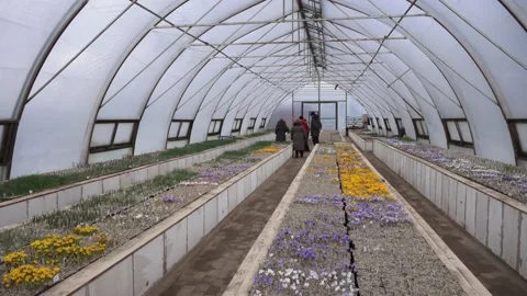 Greenhouse in the spring with people Stock Footage 149397113
