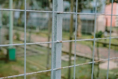 Greenhouse structure with rusted metal frames and green walls Foto stock