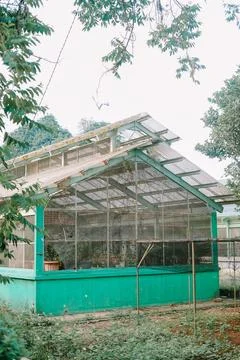 Greenhouse structure with rusted metal frames and green walls Stock Photos