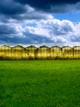 Greenhouse at sunset Stock Photos