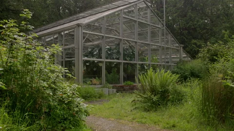 Greenhouse Surrounded by Plants with Path Leading Up to the Door in the Summer Stockbeeldmateriaal 248472673