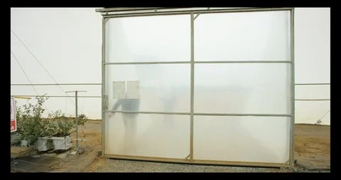 Greenhouse take plants 動画素材 91407183