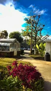 Greenhouse Trees Foto stock