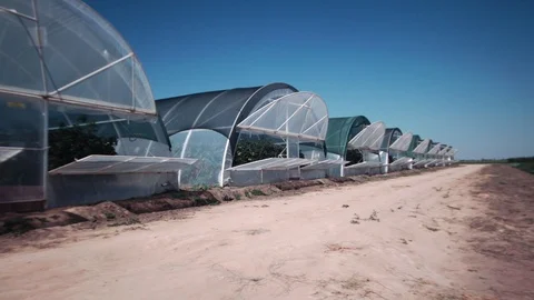 Greenhouse for vegetables Video stock 94782784