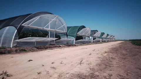 Greenhouse for vegetables Video stock 94782873