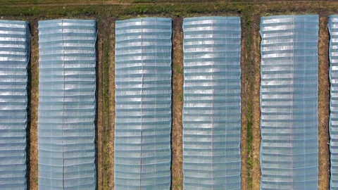 Greenhouse with vegetables, a frame with drone Stock Footage 132870507