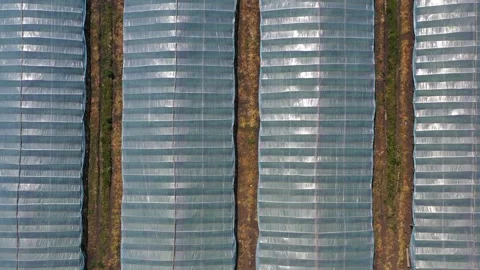 Greenhouse with vegetables, a frame with drone Stock Footage 132870526