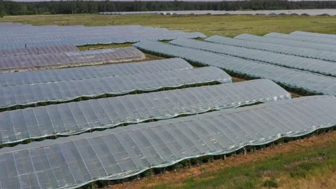Greenhouse with vegetables, a frame with drone Stock Footage 132870982