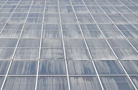 Greenhouse wall surface in perspective Stock Photos