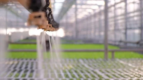Greenhouse watering system in action. Hydroponic system Stock Footage 148576047