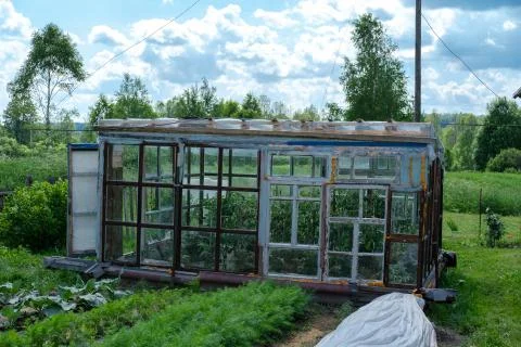 Greenhouse from window frames. Stock Photos
