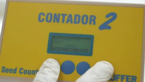 The greenhouse worker is setting up seeding lines Stock Footage 268717349