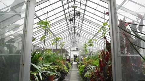GreenhouseHD03 Stock Footage 168326823