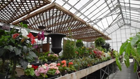 GreenhouseHD06 Stock Footage 168326827