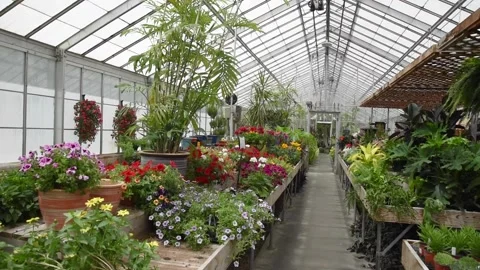 GreenhouseHD07 Stock Footage 168326829