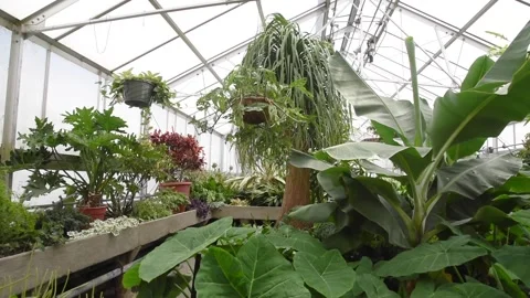 GreenhouseHD08 Stock Footage 168326830