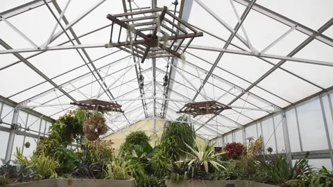 GreenhouseHD10 Video stock 168326828