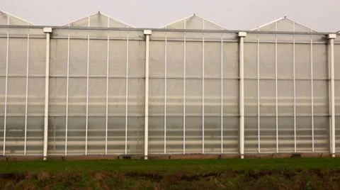 Greenhouses Stock Footage 10832831