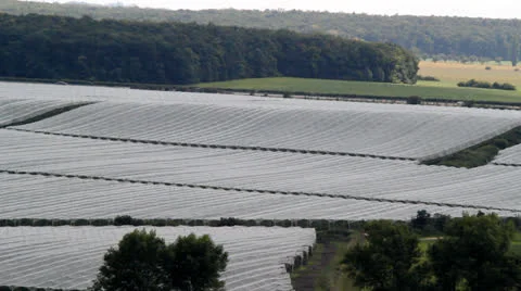 Greenhouses Stock Footage 26410185