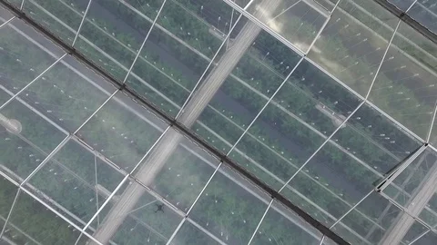 Greenhouses Stock Footage 83829454
