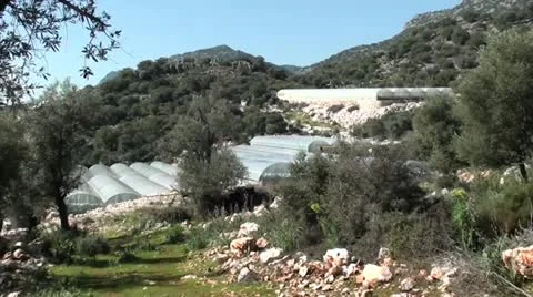 Greenhouses zoom in Stock Footage