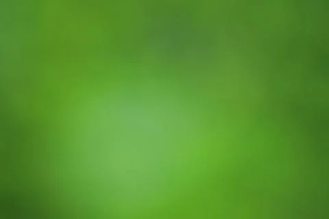 Greenish blured background 스톡 사진