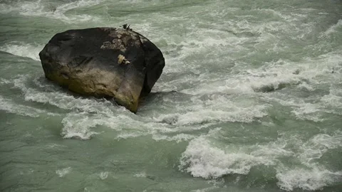 Greenish grey silty water flows in a set of rapids Stock Footage 138911471
