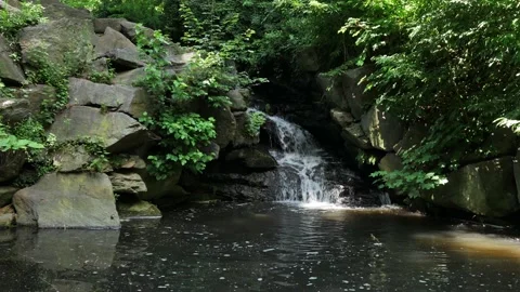 Greenish small waterfall and pond in central park new york city Stock Footage 143476236