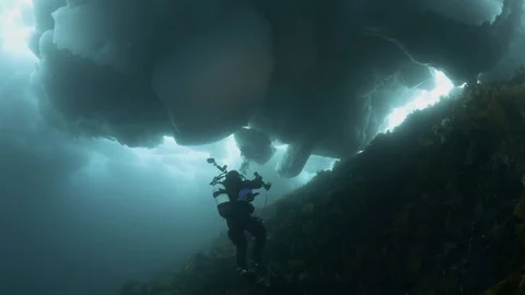 Greenland ice diving Stock Footage 118926784