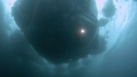 Greenland ice diving Stock Footage 118928130