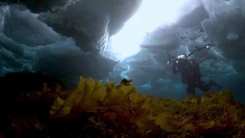 Greenland ice diving Stock Footage 118956808