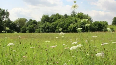 Greenland panorama Video stock 40297097