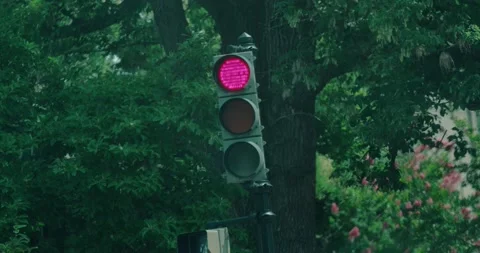 Greenlight Stock Footage 193676652