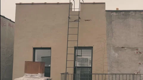 Greenpoint Brooklyn Rear View of Old Apartment building Ladder fire escape Stock Footage 249625281