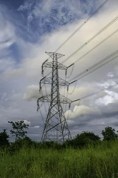 Greenpole28 Stock Photos