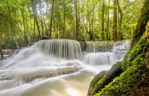 Greenre Stock Photos