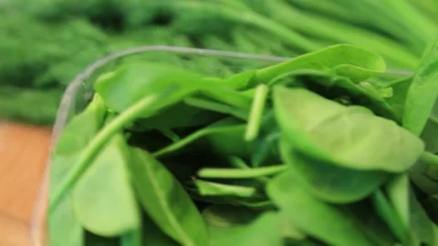 GREENS 2 Stock Footage 155549995