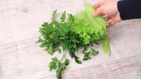 GREENS 5 Stock Footage 155550003