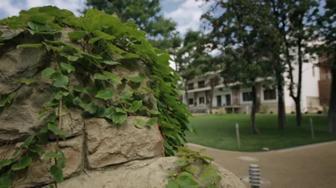 Greens and stone Stock Footage 32388150
