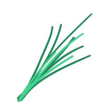Greens doodle style vector element. handdraw illustration Stock Illustration